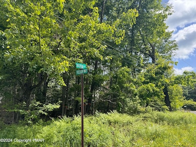 2159 Birchwood Blvd, Pocono Summit, PA 18346 - photo 3