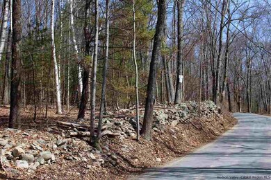 Parcel 1 Ridgeview Rd, Rochester, NY 12446 - photo 2