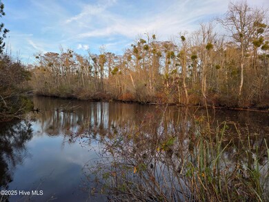 323 E Chatham St, Newport, NC 28570 - photo 4