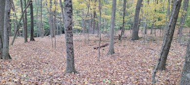 TBD Pine Ridge Rd, Morgantown, WV 26508 - photo 5