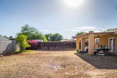 backyard 5