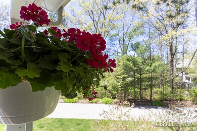 10505 Pinecone Trail 45_9