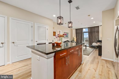 The Spectrum unit 504, Falls Church, VA 22046 - photo 5