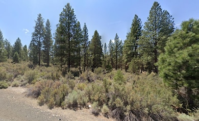0 Sprague River Rd unit 25582169, Sprague River, OR 97639 - photo 7