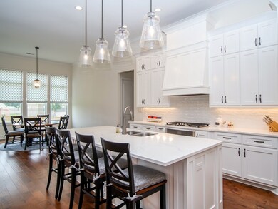 626 Sweetgum Ln, Oxford, MS 38655 - photo 4