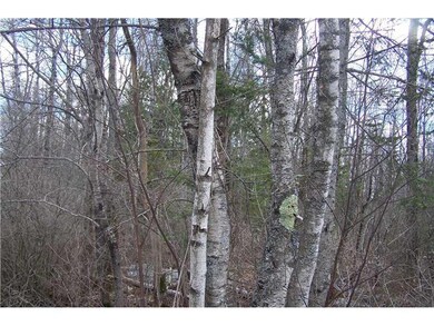 Land. Nicely wooded for privacy.