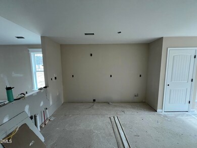 52 Grace Pond Ave, Benson, NC 27504 - photo 6