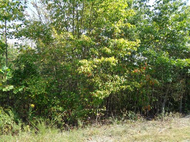 DSC00091