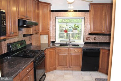 4012 Blue Slate Dr, Alexandria, VA 22306 - photo 6