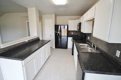 3312 Teasbend Ct, Denton, TX 76210 - photo 5