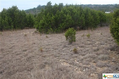 000000 Pecan Cove, Copperas Cove, TX 76522 - photo 5