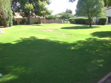 side yard