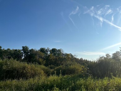 TBD off Emerald Rd, Cushing Township, MN 56475 - photo 2