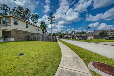 14027 White Cloud Ln, Conroe, TX 77384 - photo 4