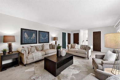 15556 Country Ridge Dr, Chesterfield, MO 63017 - photo 5