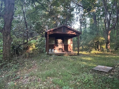 11500 Goose Lake Rd, Jonesville, MI 49250 - photo 4