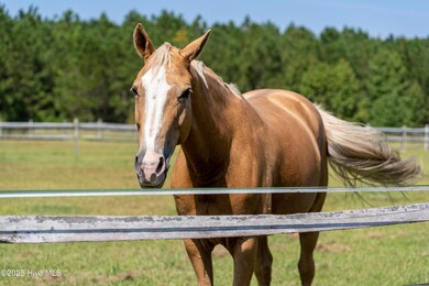 3508 Marathon Ave, Castle Hayne, NC 28429 - photo 6