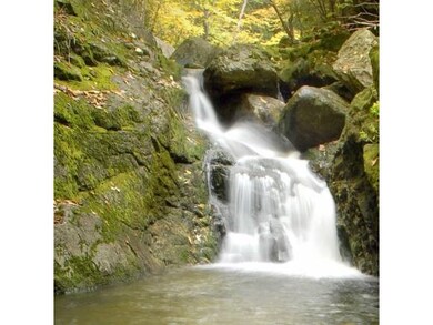 shared Great Brook access