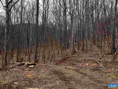 299 Crawfords Climb unit 32, Nellysford, VA 22958 - photo 2