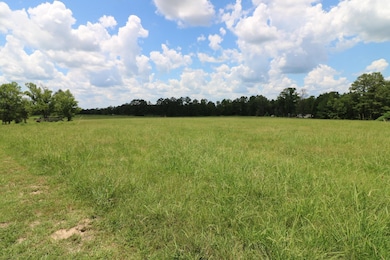 AB985 TR36-1 County Road 1028, Newton, TX 75966 - photo 3