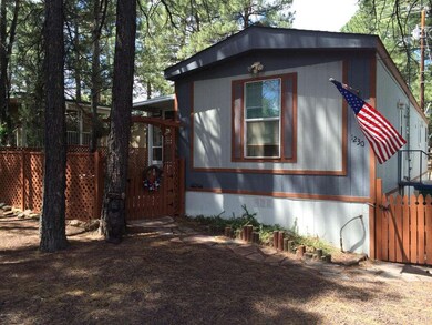 In the Tall Pines