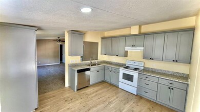 146 Adalida Ln, Springtown, TX 76082 - photo 7