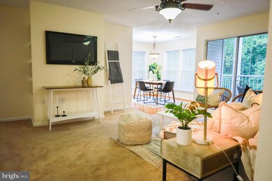 4409 Silverbrook Ln unit 202, Owings Mills, MD 21117 - photo 5