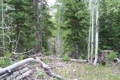 91 S Spring Cir unit SHC u-C b-F lot 19, Brian Head, UT 84719 - photo 4