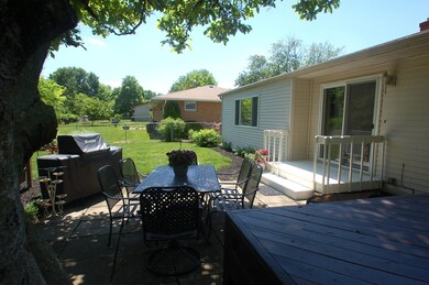 Backyard 1