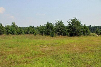 XXX10 My Abbeys Way Ln SW, Pequot Lakes, MN 56472 - photo 5