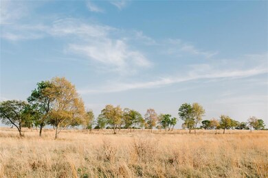 TBD 81 Pommel Ct, Weatherford, TX 76088 - photo 4