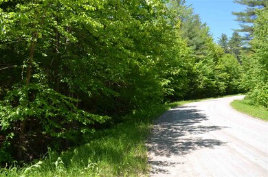 0 Farm Ridge Rd unit Lots 18/19, Ludlow, VT 05149 - photo 2