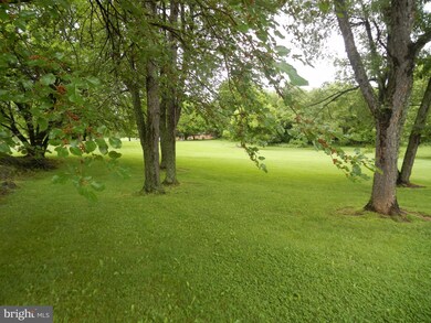 535 Shepherd Ln, Shepherdstown, WV 25443 - photo 5