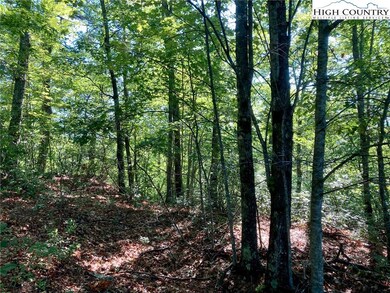 TBD Lady's Mantle Ln, Ferguson, NC 28624 - photo 3