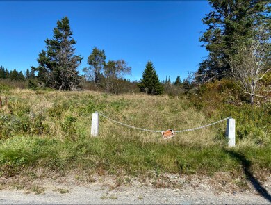 1033 Boot Cove Rd, Lubec, ME 04652 - photo 5