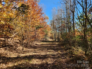 701 Moravian Falls Rd, Wilkesboro, NC 28697 - photo 6