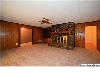 Huge greatroom / living room with fireplace and op