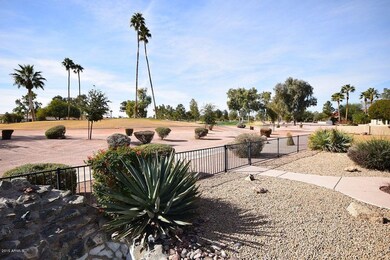 Back Yard View