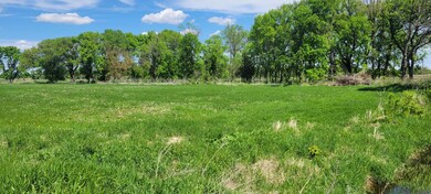 XXX 455th Ave, Arlington, MN 55307 - photo 6