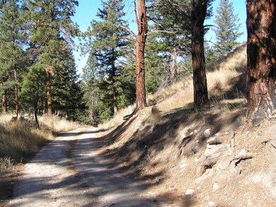 00 SE Whiskey Gulch Rd, Darby, MT 59829 - photo 3