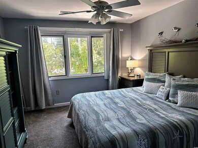 Bedroom with carpet floors, multiple windows, and a ceiling fan