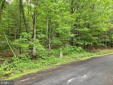 0 Susan Rd unit VASH2003412, Basye, VA 22810 - photo 2