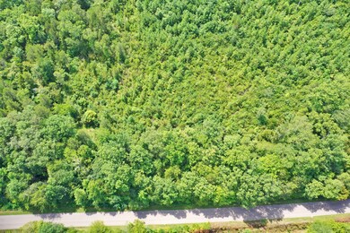 0 Mayberry Prong Rd unit 2182866, Linden, TN 37096 - photo 6