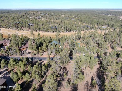 3121 Sage Ln, Show Low, AZ 85901 - photo 5