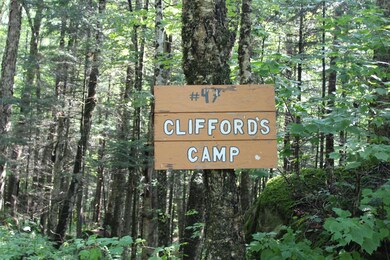 47 Nash Stream Rd, Stark, NH 03582 - photo 4