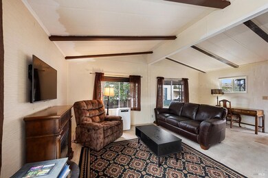 6720 Evergreen Ave, Sebastopol, CA 95472 - photo 4