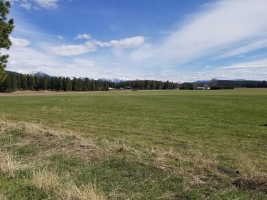 Nhn Bachelor, Kalispell, MT 59901 - photo 3