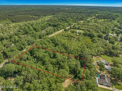 2838 Highway 43 S, Picayune, MS 39466 - photo 6