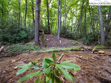 Lot 2 Wilderness Reserve Pkwy, Deep Gap, NC 28618 - photo 5