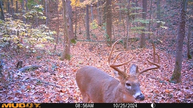 34292 State Route 41, Peebles, OH 45660 - photo 6